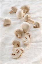 Mushrooms on textile.