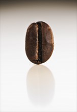 Coffee bean.