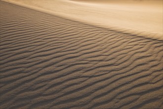 Sand dunes in the desert.