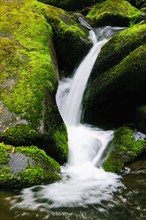 A scenic waterfall
