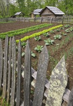 A vegetable garden at Smoky Mountain National Park.