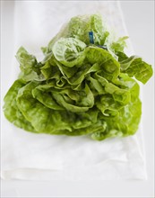 A head of lettuce.