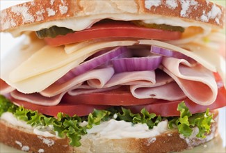 A tasty sandwich.