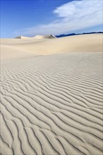 Sand dunes in the desert.