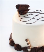 A chocolate and vanilla cake.