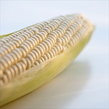 A cob of corn.