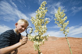 A young boy at Red Rock examining a plant