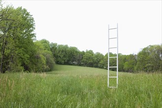 A ladder standing upright in a field