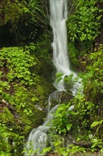 A scenic waterfall
