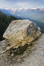 A rock at Sequoia National Park.