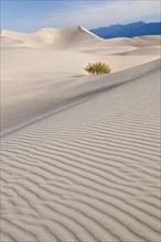 Sand dunes in the desert.