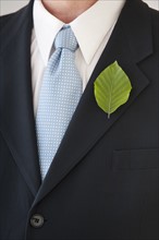 A businessman with a leaf in his lapel.