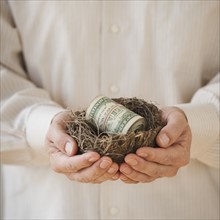 Hands holding a nest with money in it.