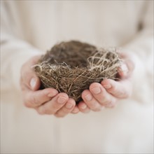 Hands holding a nest.