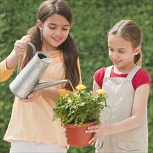 Two young girls watering a flower.