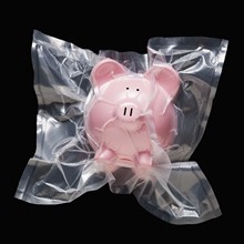 Shrink wrapped piggy bank