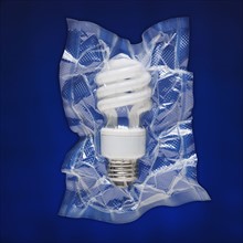 Shrink wrapped light bulb