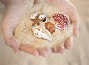 Shells in hand.