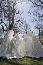 Wedding dresses