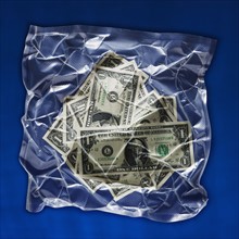 Shrink wrapped money