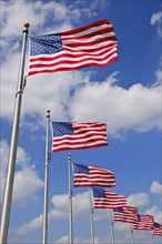 American flags.