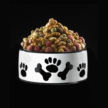 Bowl of dog food