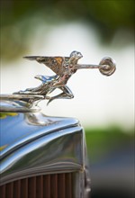 Hood ornament on classic car.