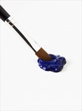 Paintbrush and blue paint