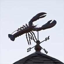 Lobster weathervane