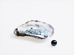Oyster and black pearl