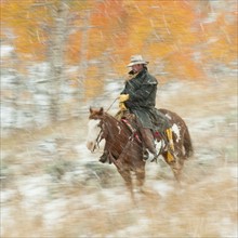 Horseback rider in rain.