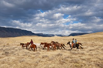Cowboys herding horses.