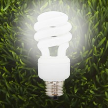 Flourescent light bulb in grass