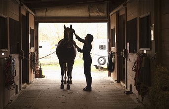 Woman grooming horse.