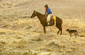 Horseback rider and dog.