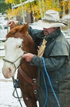 Man putting bridle on horse.