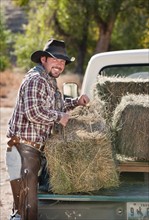 Cowboy lifting bales of hay.