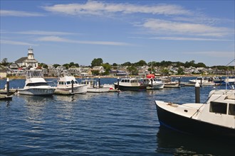 Boats in harbor.