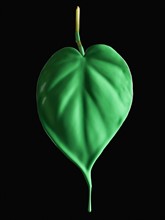 Green paint on leaf. Photographer: Mike Kemp