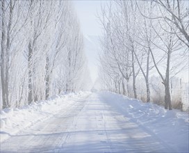 Rural road in winter. Photographer: Mike Kemp