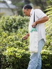 Man watering shrubs. Photographer: momentimages