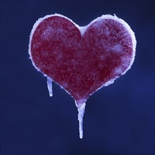 Frozen heart. Photographer: Mike Kemp
