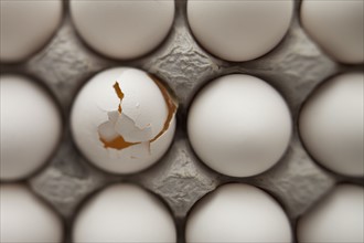 Eggs in carton. Photographer: Mike Kemp