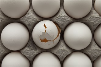 Eggs in carton. Photographer: Mike Kemp
