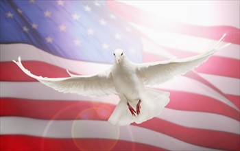 Dove flying in front of American flag.