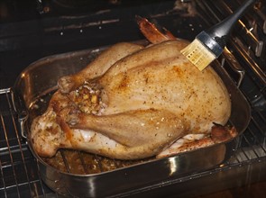 Basting a turkey.