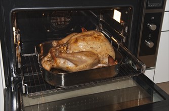 Turkey in oven.
