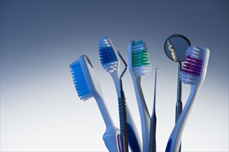 Toothbrushes and dental instruments.