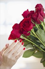 Red roses and hand with red nail polish.