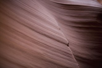 Sandstone. Photographe : David Engelhardt